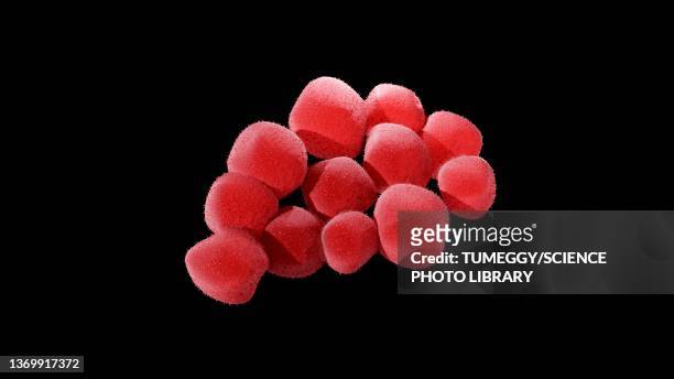 ilustraciones, imágenes clip art, dibujos animados e iconos de stock de staphylococcus aureus bacteria, illustration - estafilococo