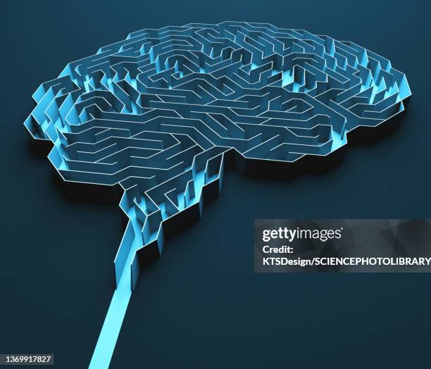 human brain, conceptual illustration - brain maze stock illustrations