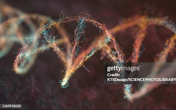 dna, illustration - 染色体 ストックフォトと画像