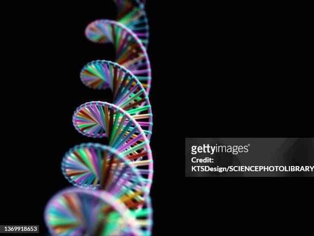 dna molecule, illustration - sequencing stock pictures, royalty-free photos & images
