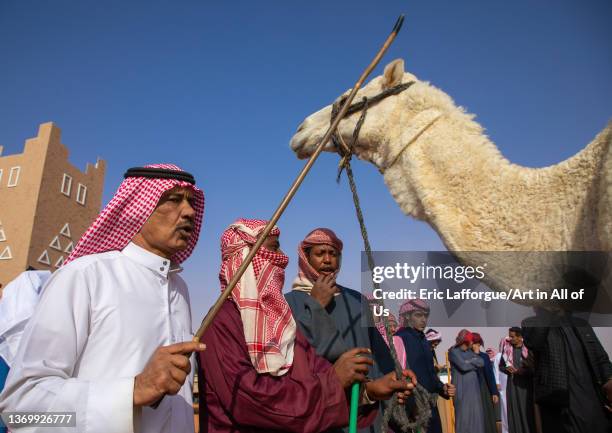 Beauty contest in King Abdul Aziz Camel Festival, Riyadh Province, Rimah, Saudi Arabia on December 28, 2021 in Rimah, Saudi Arabia.