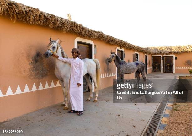 Saudi man with Arabian horses in Alhazm stud, Najran Province, Khubash, Saudi Arabia on December 31, 2021 in Khubash, Saudi Arabia.