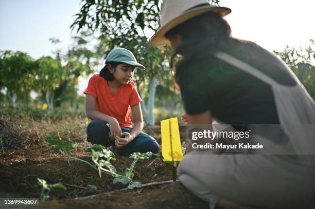 mother and daughter sitting and discussing in the farm - india economy bildbanksfoton och bilder