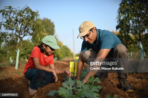 father and daughter working in a farm together - india economy bildbanksfoton och bilder