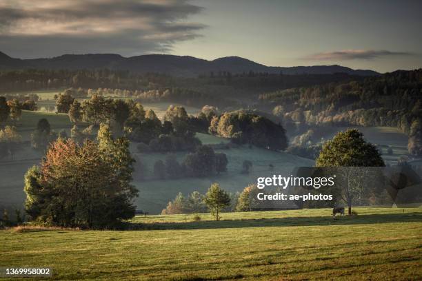 felder in der rhön im herbst - rhön stock-fotos und bilder