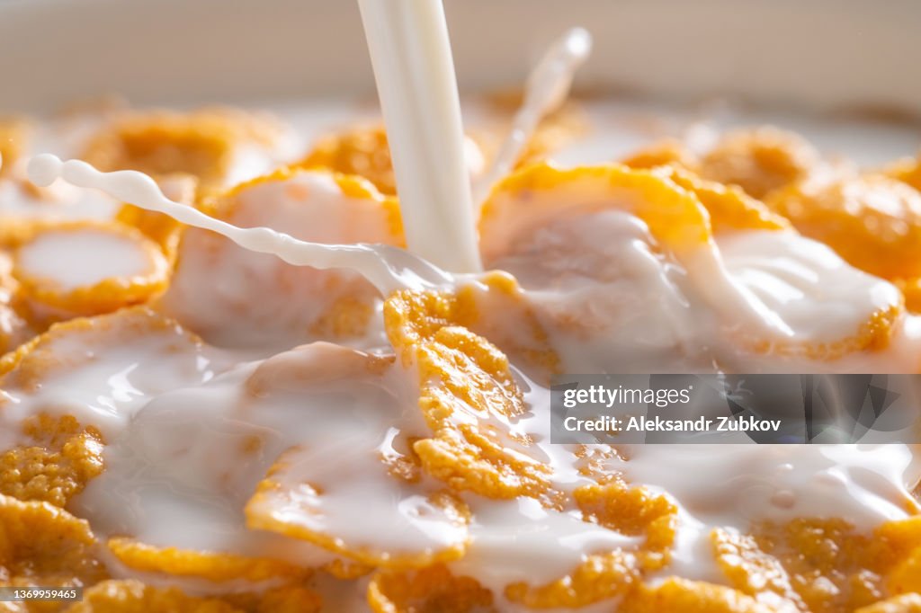 Dry honey cornflakes in a ceramic plate on the dining table at home or on a white background. Flakes with organic farm vegetable soy, almond or animal milk. Top view, copy space. The concept of healthy eating, vegetarian and vegan food for breakfast.