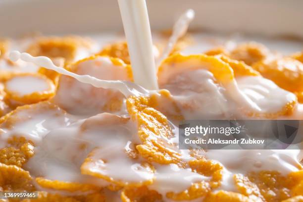 dry honey cornflakes in a ceramic plate on the dining table at home or on a white background. flakes with organic farm vegetable soy, almond or animal milk. top view, copy space. the concept of healthy eating, vegetarian and vegan food for breakfast. - cereali da colazione foto e immagini stock