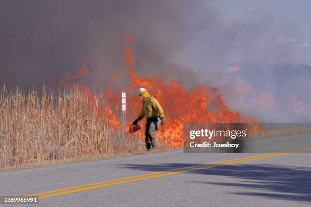 wildlife reserve controlled burn - ii - controlled fire stockfoto's en -beelden