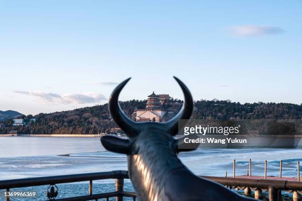 bull head statue in the summer palace - summer palace beijing stock pictures, royalty-free photos & images