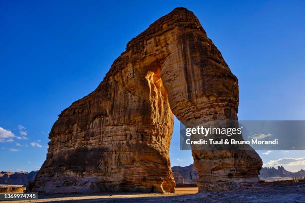 saudi arabia, alula, elephant rock - al ula saudi arabia stockfoto's en -beelden