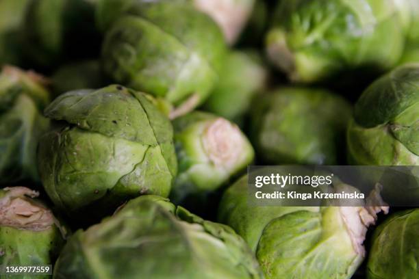 brussels sprout - food crisis stock pictures, royalty-free photos & images