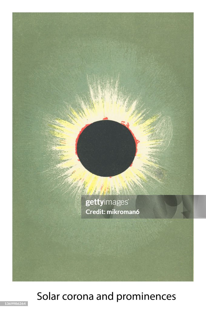 Old engraved illustration of Astronomy - Solar Corona and Prominences