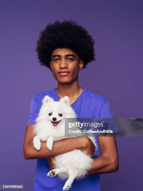 studioporträt von lächelnden jungen afroamerikanischen männern mit kleinem hund - woman holding dog studio stock-fotos und bilder