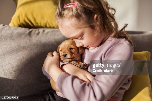 little girl with her puppy at home - puppies stock pictures, royalty-free photos & images