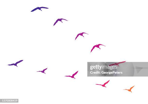 canada geese flying in v-formation - birds flying stock illustrations