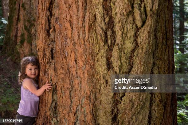 young girl hugging an old growth tree - sustainable development goals stock pictures, royalty-free photos & images