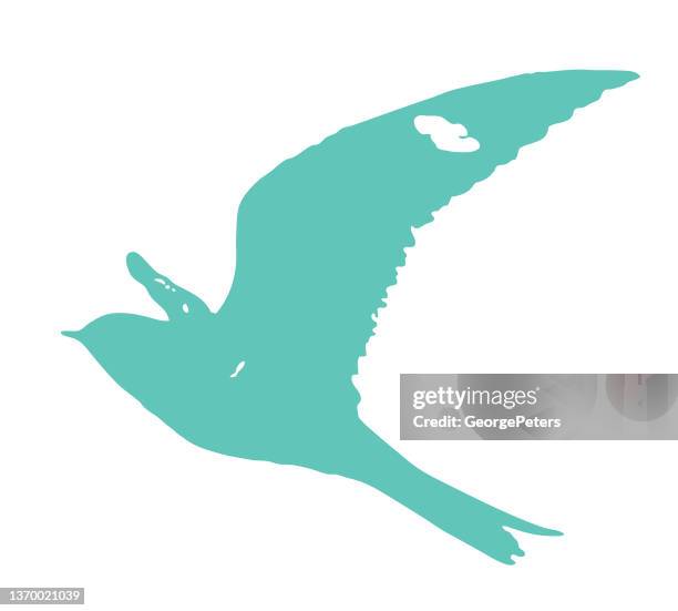 common nighthawk flying - common nighthawk stock illustrations