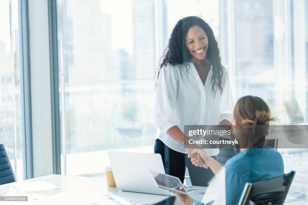 Business colleagues shaking hands.