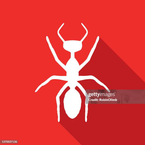 red ant icon - ant stock illustrations