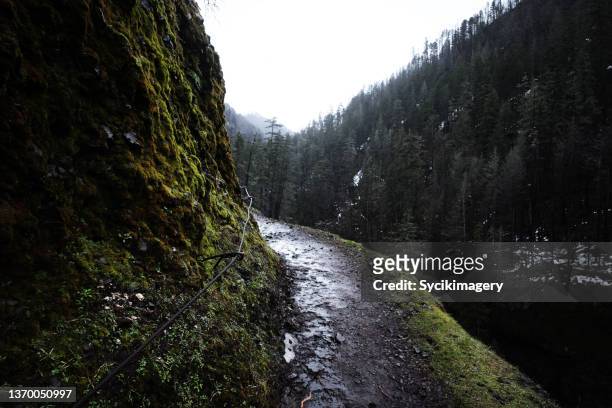 wet footpath along cliff - eagle creek trail stockfoto's en -beelden