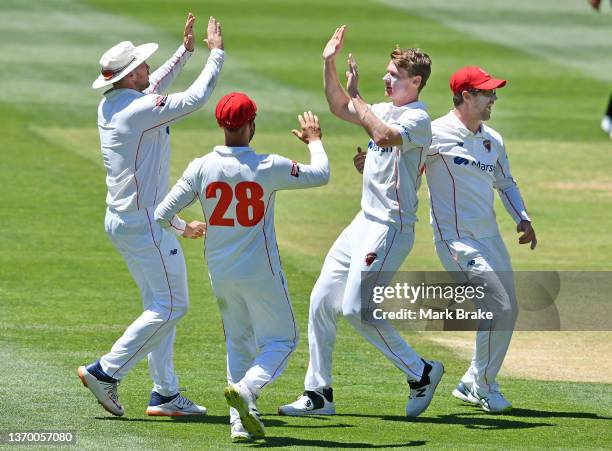 Brendan Doggett of the Redbacks celebrates the wicket of Jonathan Merlo of the Bushrangers with Ryan Gibson ,Jake Weatherald and Travis Head of the...