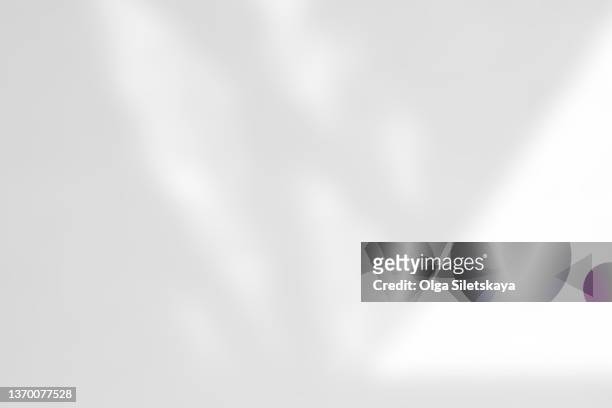 wall with light and shadows. - white backdrop stock-fotos und bilder