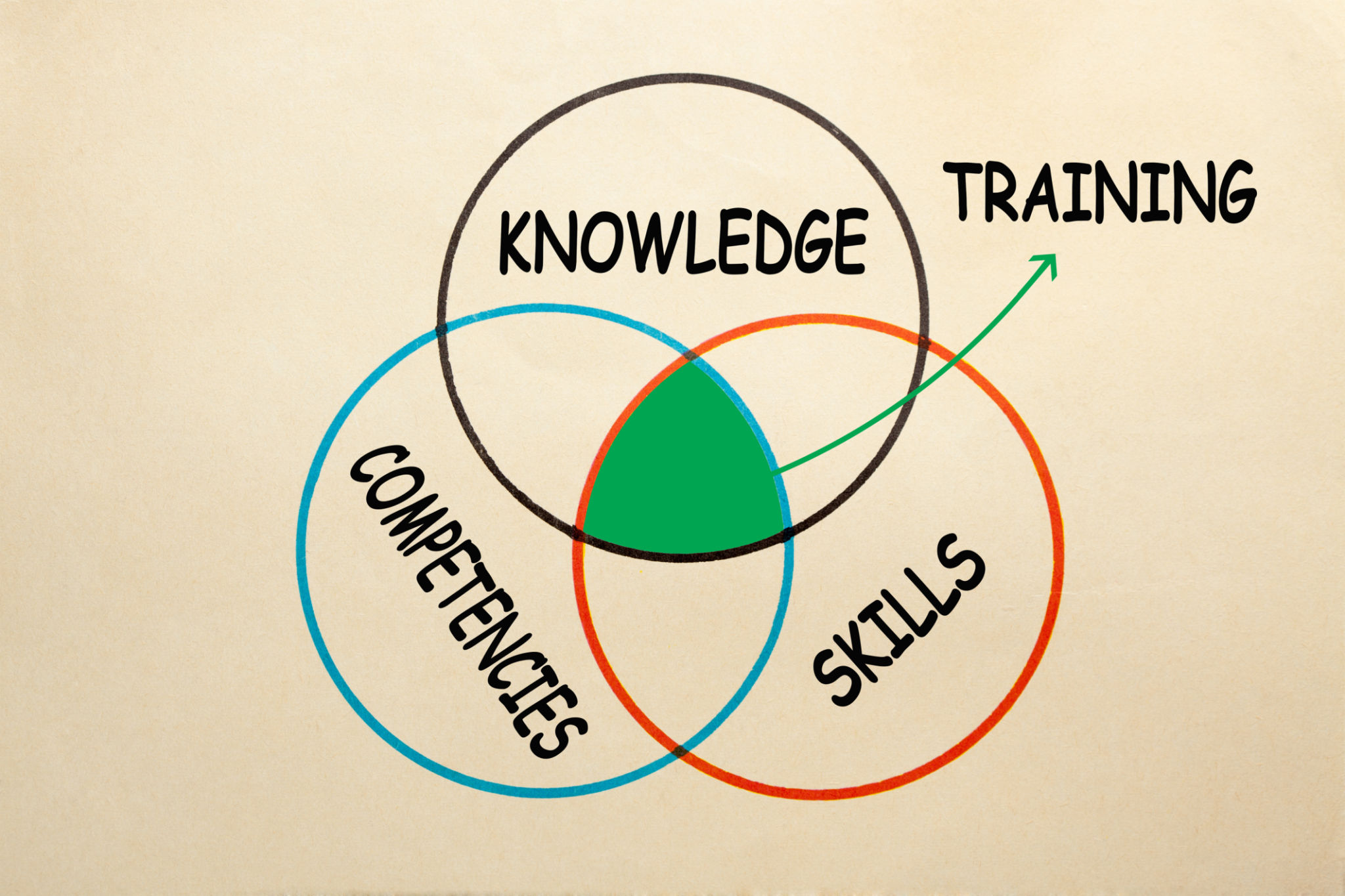 Training Knowledge Skill Competency Training Knowledge Skill Competency