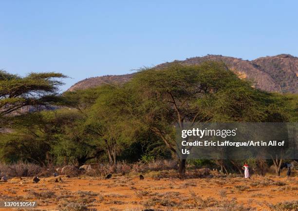 Samburu woman in a traditional village, Marsabit District, Ngurunit, Kenya on August 6, 2021 in Ngurunit, Kenya.