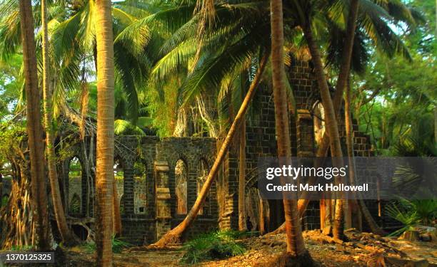 jungle taking over ruins. ross island, andaman - andaman islands stock pictures, royalty-free photos & images