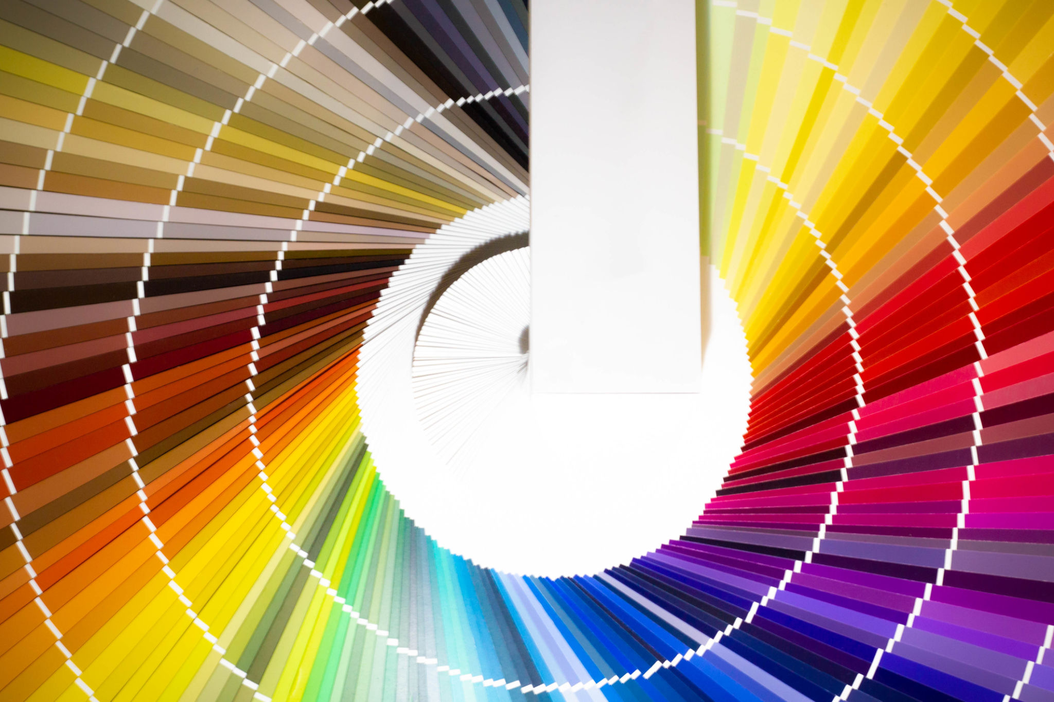 colori design