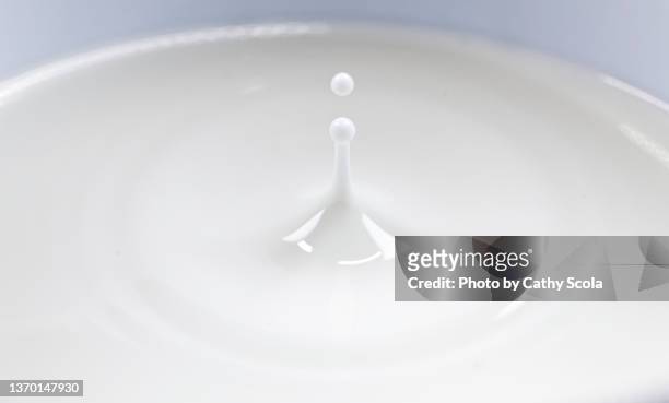 milk drop - splash crown fotografías e imágenes de stock