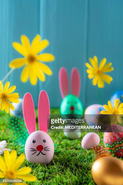 easter eggs in a grass garden and spring daisy flowers
on blue wall - easter bunny ears stock pictures, royalty-free photos & images