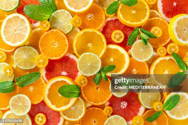 citrus fruits slices arrangement orange, lemon, lime, grapefruit, tangerine and kumquat - grapefruit stock pictures, royalty-free photos & images