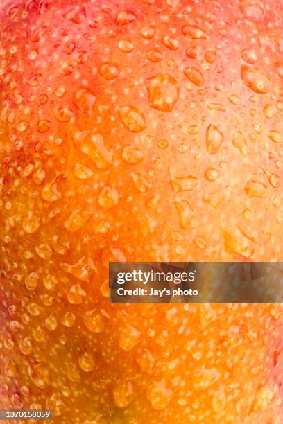 mango detail on clear background. - mango stock-fotos und bilder