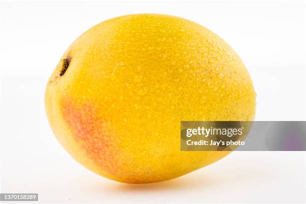 mango isolated on white background. fruit, studio shot. - sorbet isolated stock pictures, royalty-free photos & images