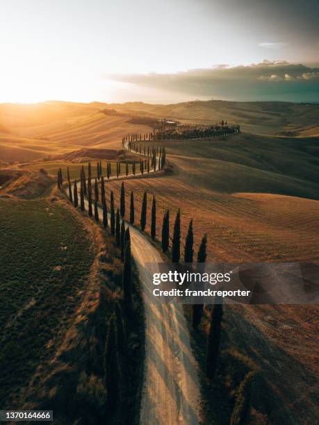 winding road in tuscany - tuscany stock pictures, royalty-free photos & images