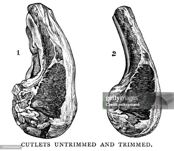 old engraved illustration of antique cookbook, cutlets untrimmed and trimmed - nature alphabet letters - fotografias e filmes do acervo