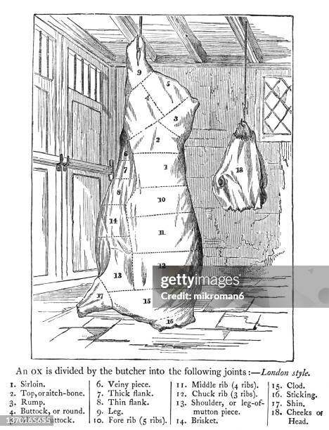 old engraved illustration of cattle beef, ox meat section - fish bone diagram stock pictures, royalty-free photos & images