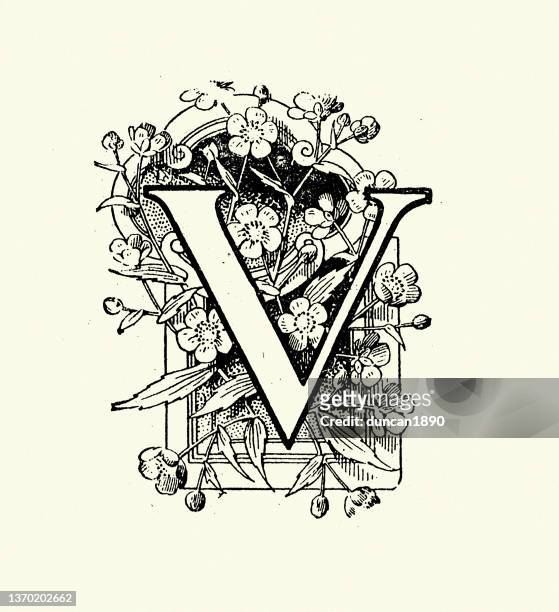 vintage blumenmuster großbuchstabe v, viktorianischer stil - monogramm stock-grafiken, -clipart, -cartoons und -symbole