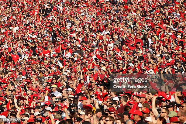 San Francisco 49ers fans cheer on their team during the third quarter of the NFC Divisional playoff game against the New Orleans Saints at...