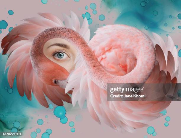 creative portrait with pink flamingo - surrealismus stock-fotos und bilder