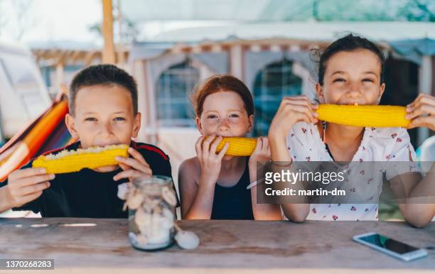 kids on summer vacation - corn on the cob stock pictures, royalty-free photos & images