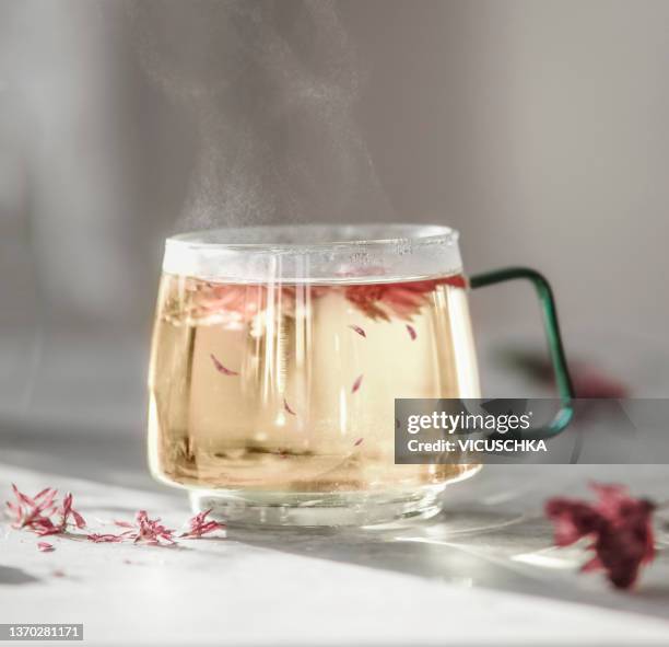 close up of glass tea cup with steaming herbal tea and dried red flower petals at white kitchen table with natural light and shadows at blurred wall background. - ハーブティー ストックフォトと画像