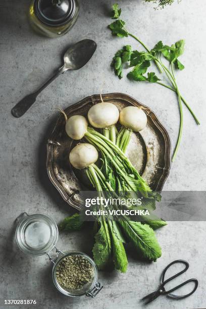 whole white radish turnip on plate at grey concrete kitchen table with herbs, herbal salt, spoon, scissors and oil - kohlrübe stock-fotos und bilder