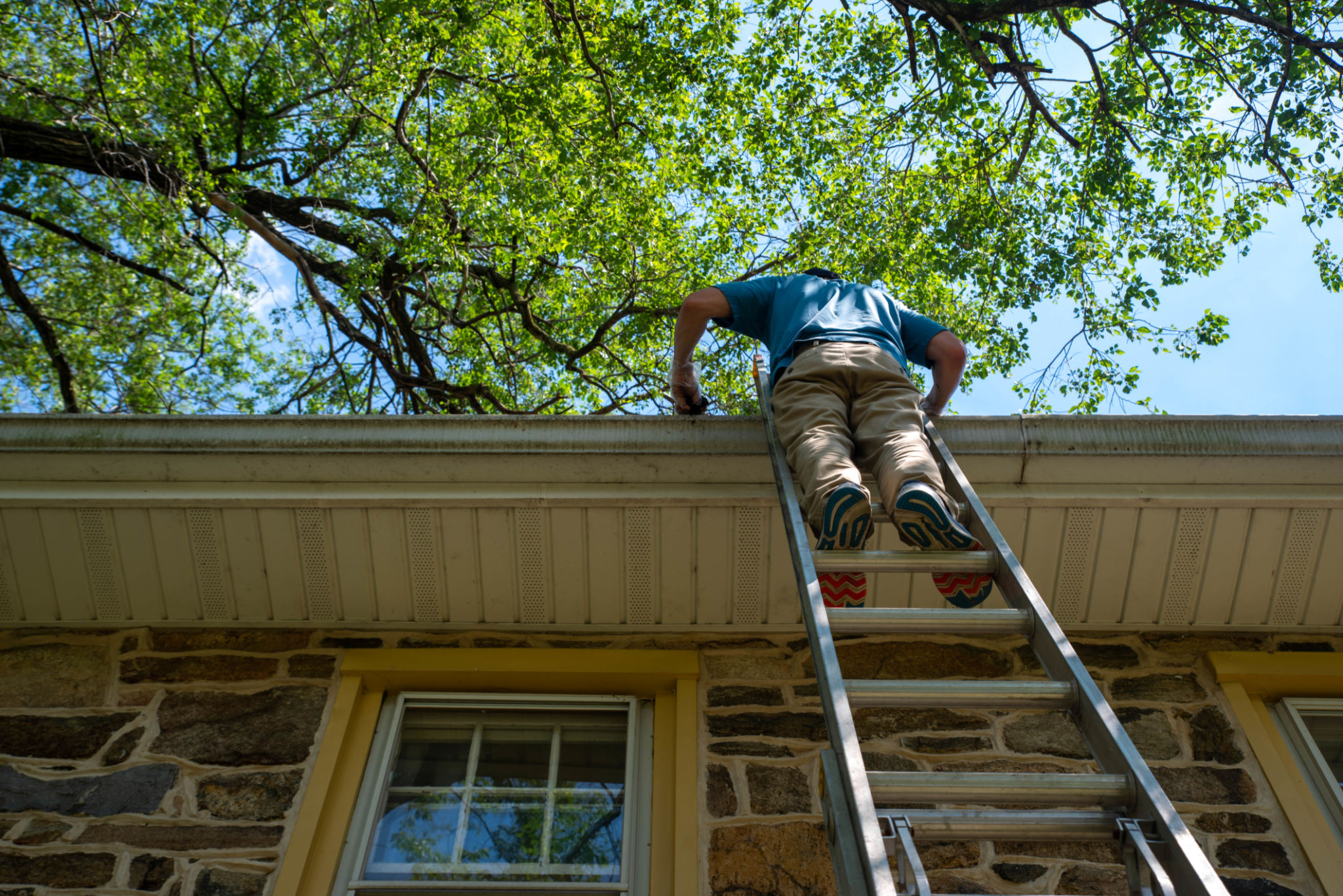 home spring maintenance