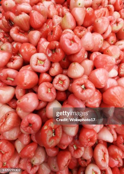 full image of waterapple - water apples stock pictures, royalty-free photos & images