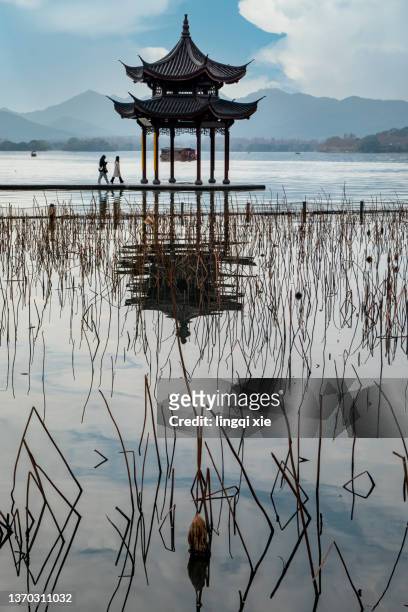 scenery of jixian pavilion in west lake, hangzhou, china - hangzhou 個照片及圖片檔
