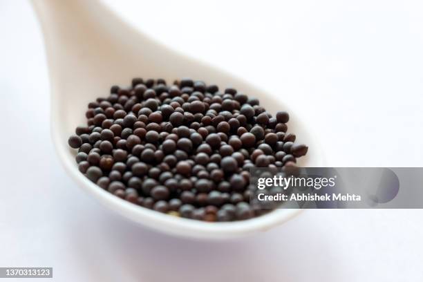 mustard seeds - mustard plant stock pictures, royalty-free photos & images