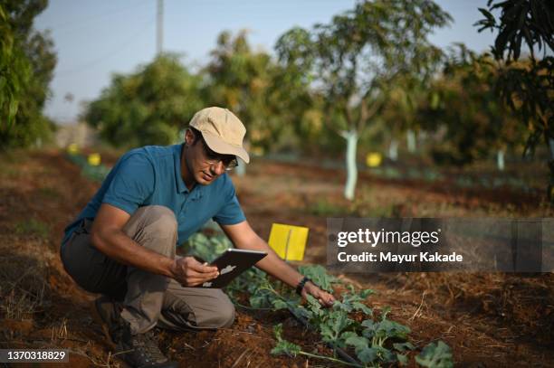 man farmer using digital tablet in a farm while inspecting crops - country stock photos et images de collection