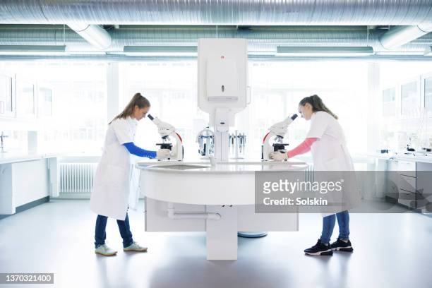 two scientists standing in laboratory, looking into microscopes - laboratorio chimico foto e immagini stock